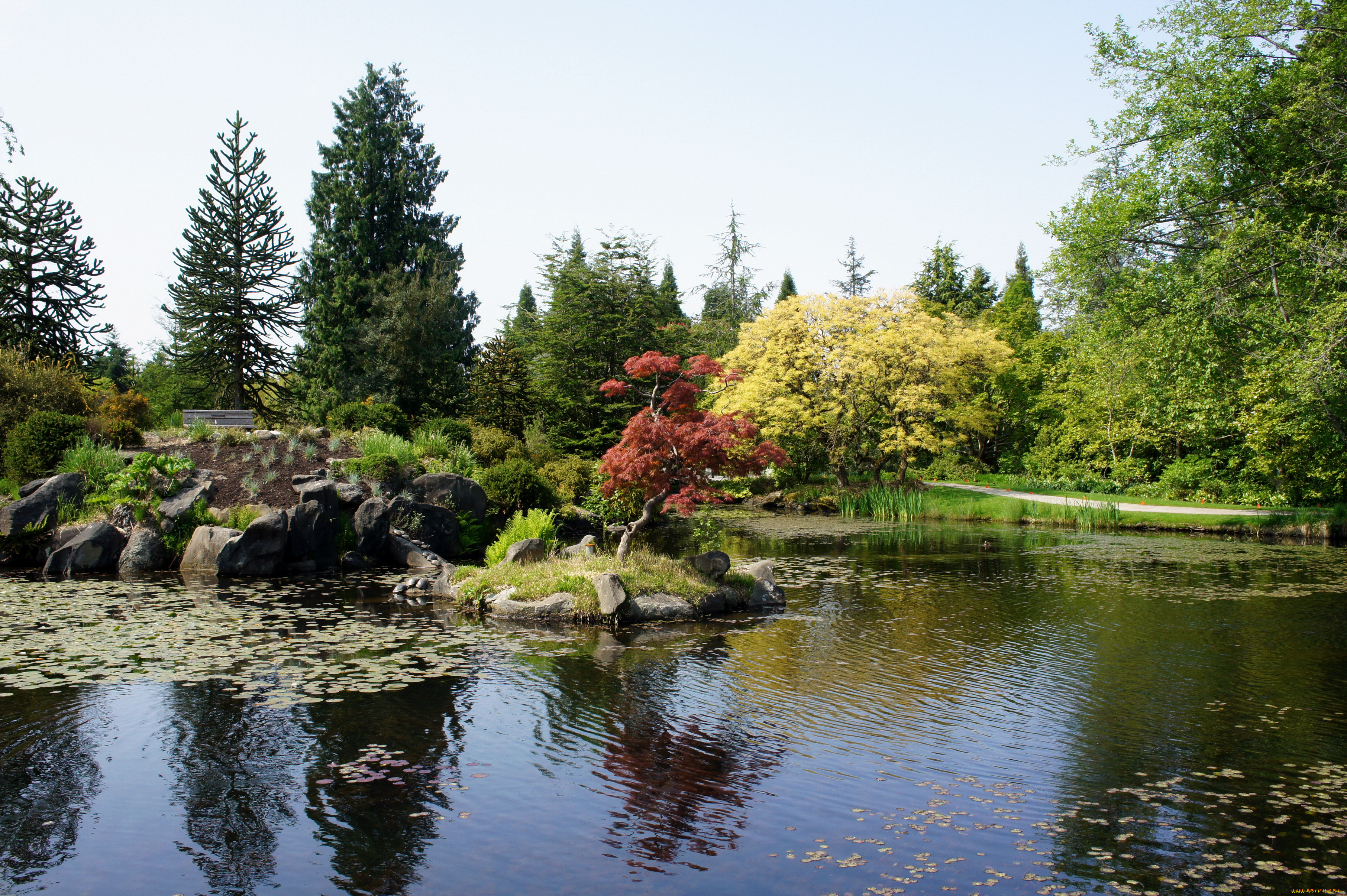 vandusen, botanical, garden, vancouver, , , , , , , , 